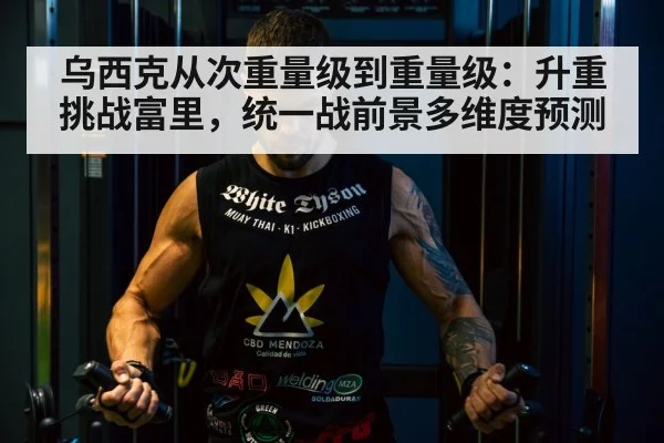 Tyson Fury boxing